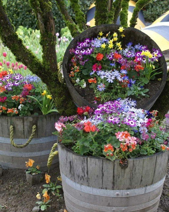 Jardiniere din butoaie Jardiniere din butoaie - aranjamente de gradina