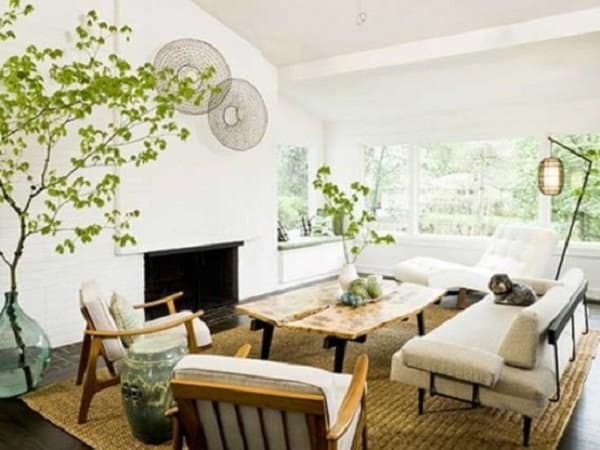 plante- decoratiuni pentru casa