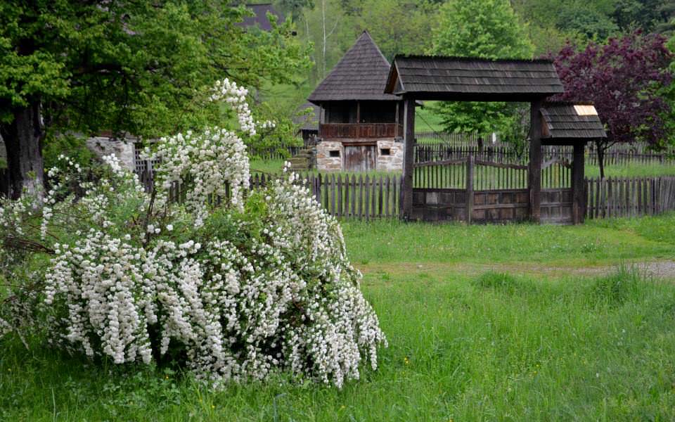 răsfăț boieresc la conacul lui Maldar
