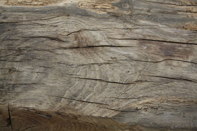 lemn masiv de stejar