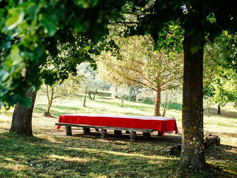 Viața la țară - turism în Toscana - fermă de închiriat 2 Fermă - Toscana