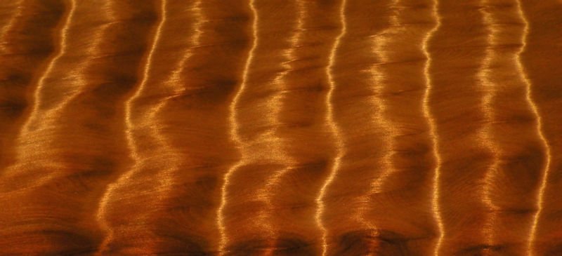 Masa din lemn Kauri - 50.000 de ani - 100.000 dolari 1 lemn Kauri - Kahiko