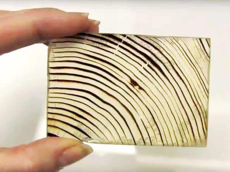  lemnul transparent