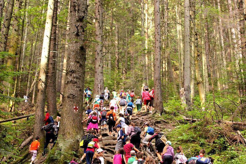 Activitati educative pentru vacanța copilului tău 3 activitati