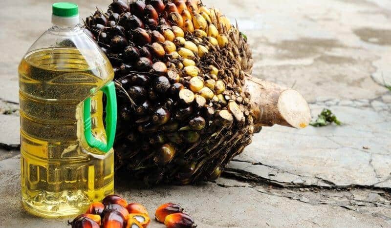Uleiul de palmier - cum influențează consumul nostru lumea! 2 ulei palmier
