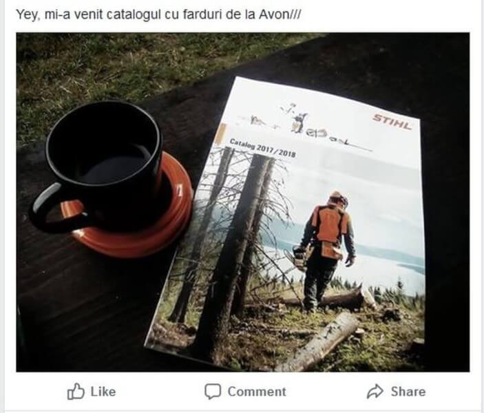 Când sa plantezi un copac? - Oricând, eu fac asta de câțiva ani buni 2 sa plantezi un copac