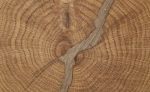 lemn capat de fibra