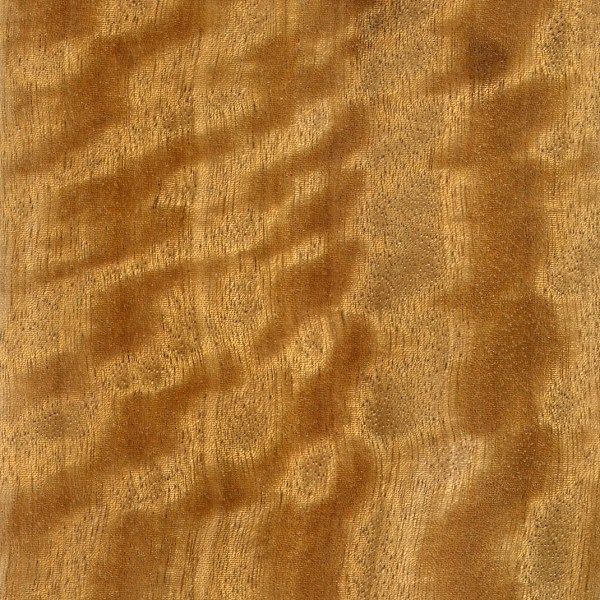 satinwood furnir clasic lemn de satin