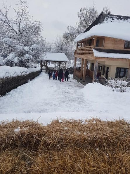 Muzeul Satului din Baia Mare a deschis pârtia de sanie pentru copii 6 partie de sanie pentru copii la Muzeul Satului din Baia Mare