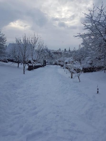 Muzeul Satului din Baia Mare a deschis pârtia de sanie pentru copii 3 partie de sanie pentru copii la Muzeul Satului din Baia Mare