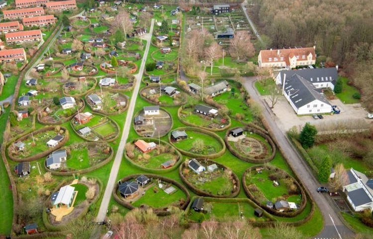 Grădini urbane pentru gulere albastre - 2 locații daneze 1 grădini urbane la Naerum